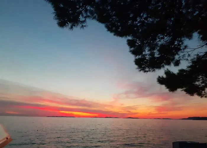 Buntin * פרימוסטן